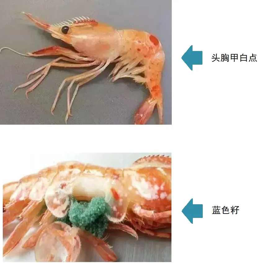 48.jpg 48.jpg