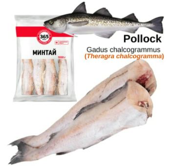 5696